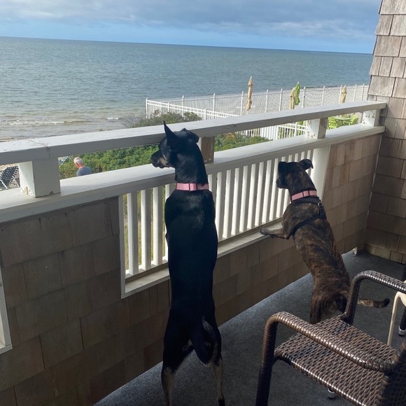 LIKE THIS LISTING TO BE NOTIFIED WHEN I GO LIVE Previous flyer was deleted - Picture 16 of 16